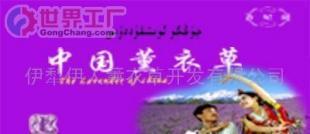 批發熏衣草08-保健寢具的天然填充物(圖)_紡織、皮革_世界工廠網中國產品信息庫