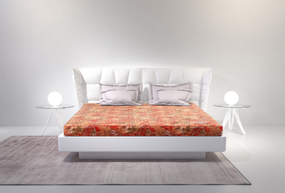 中佰康董事長魯林萍:引領健康寢具革命,提升全民睡眠質量